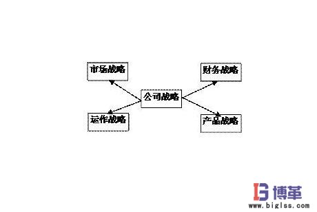 公司戰(zhàn)略 公司戰(zhàn)略